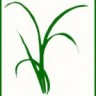 GrassRoots Meats